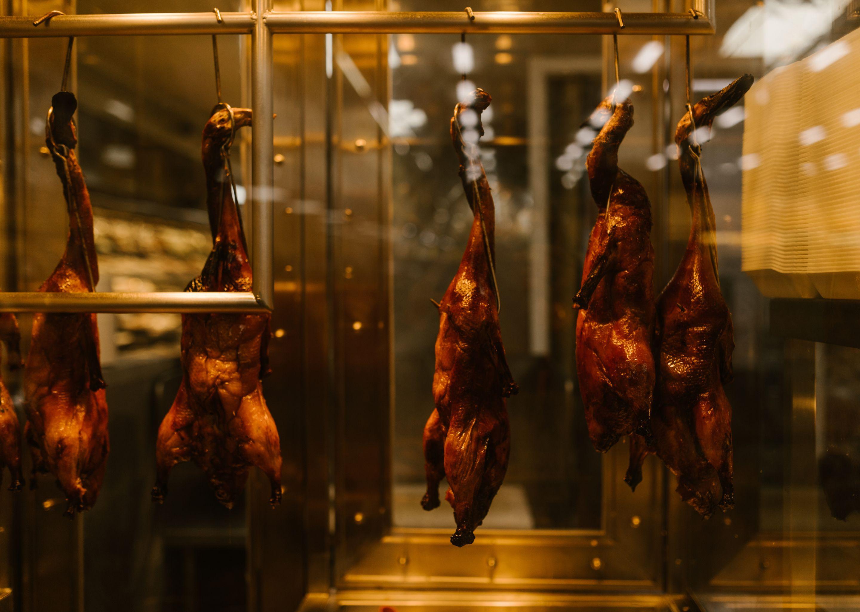 Imperial Palace - hang the duck